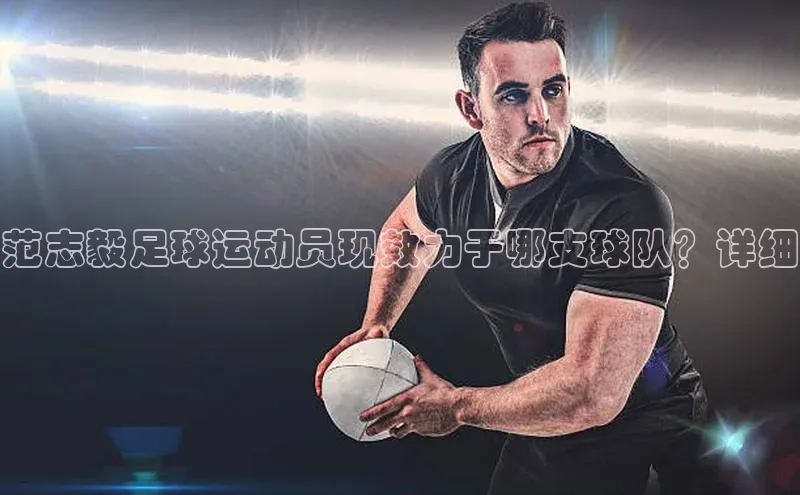 hth会体会官方网站登录百度大脑范志毅足球运动员现效力于哪支球队？详细