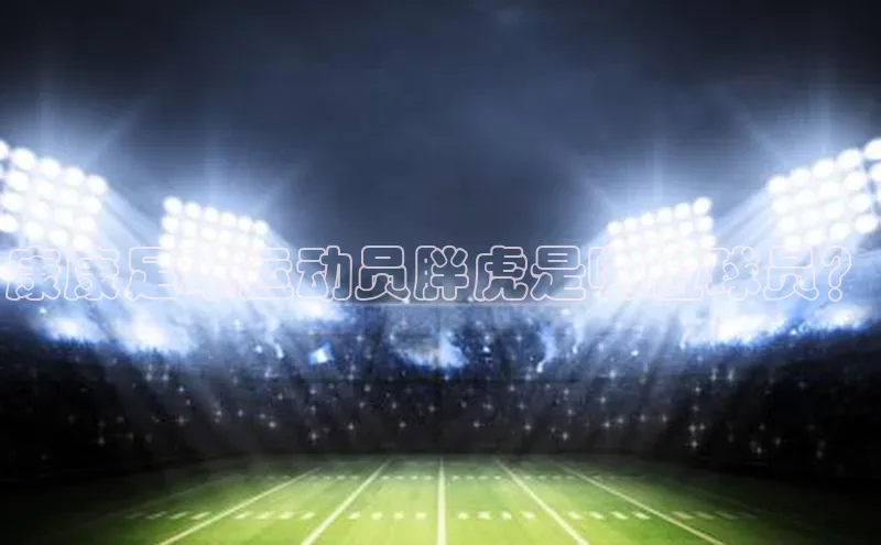 华体会体育最新首页登录度小满支付康康足球运动员胖虎是哪位球员？