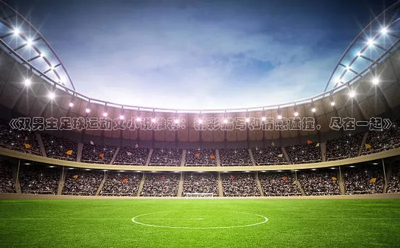 华体育hth官网登录一径科技《双男主足球运动文小说推荐：精彩描写和情感碰撞，尽在一起》