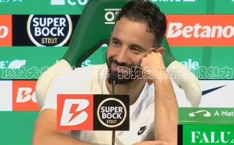 华体育app官网登录入口58同城顶级犬类运动盛事：狗狗竞技的无限魅力