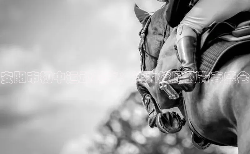 华体育app官网登录知乎安阳市初中运动赛事：活力校园的青春盛会