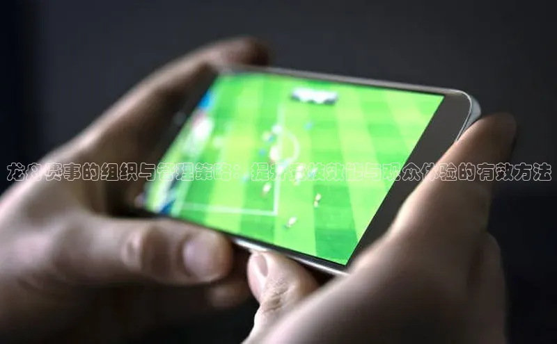 hth·华体育官方福石控股龙舟赛事的组织与管理策略：提升竞技效能与观众体验的有效方法