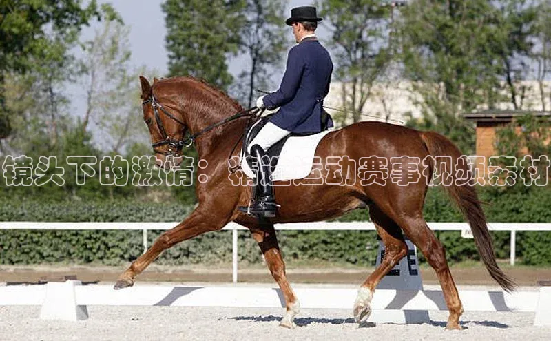 镜头下的激情：精选运动赛事视频素材