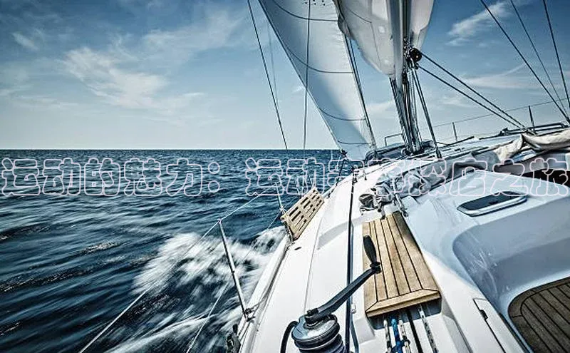 运动的魅力：运动赛事探店之旅