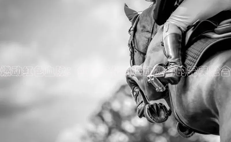 燃动红色血脉：红色文化与运动赛事的完美融合