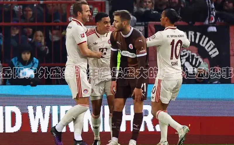 岳阳户外盛宴：年度最盛大的户外运动赛事