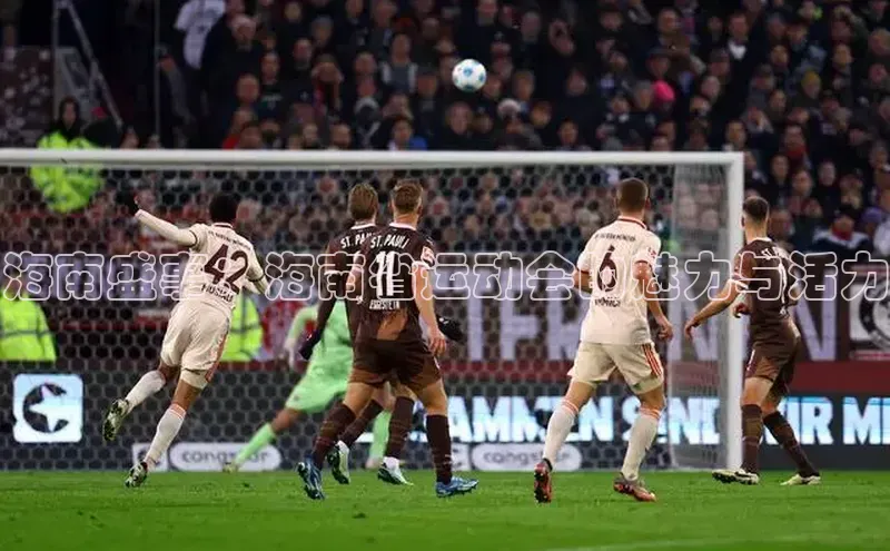 海南盛事：海南省运动会的魅力与活力