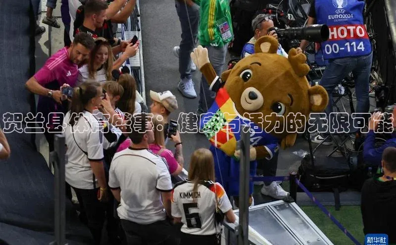 贺兰县体育盛事：健康与活力的无限可能