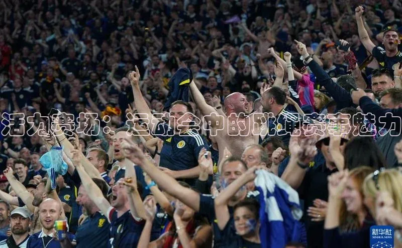 活力赛场：运动会中的跳绳赛事魅力