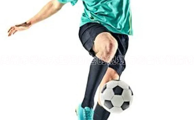 禹州市举办大型运动会的规划与筹备计划探讨