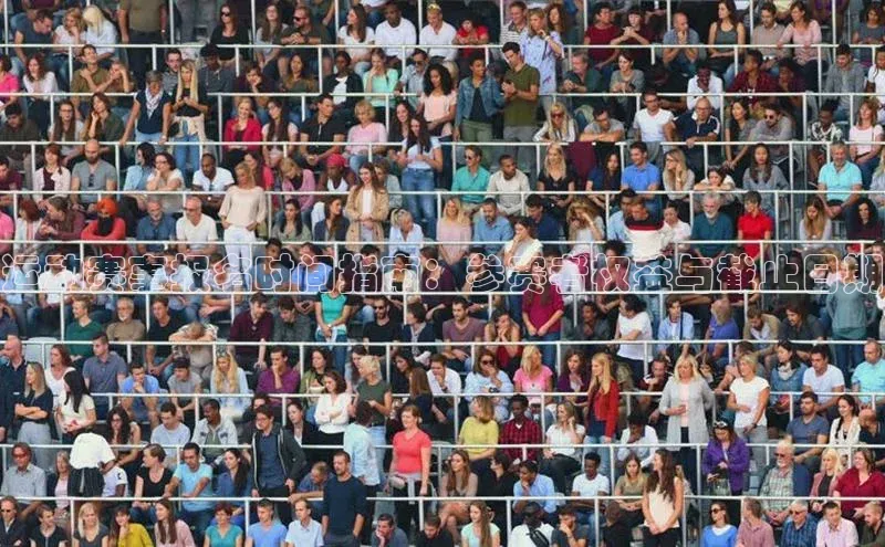 运动赛事报名时间指南：参赛者权益与截止日期