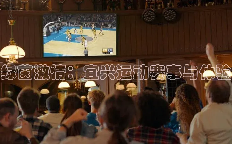 绿茵激情：宜兴运动赛事与体验