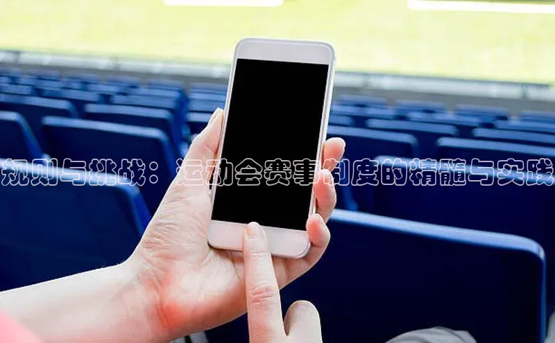 规则与挑战：运动会赛事制度的精髓与实践