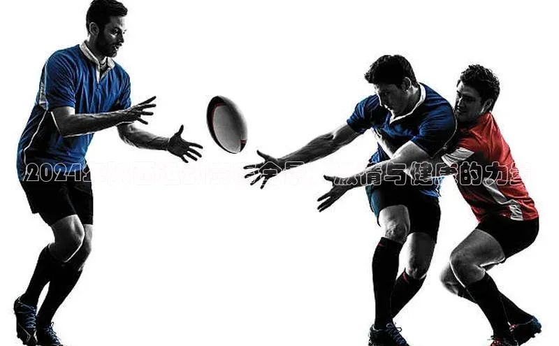 2024年陕西运动赛事全景：激情与健康的力量